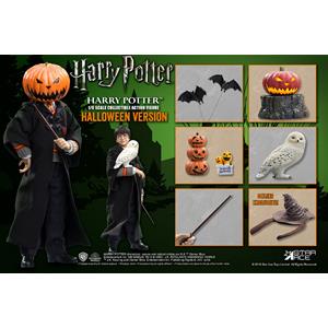HARRY POTTER Halloween Version Harry Potter 1/6 ActionFigure by STAR ACE