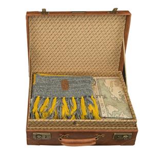 Newt Scamander Replica Valigia Cinereplicas