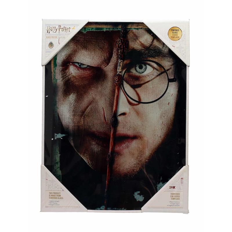 Harry Potter Half Face Harry&Voldemort Glass Poste