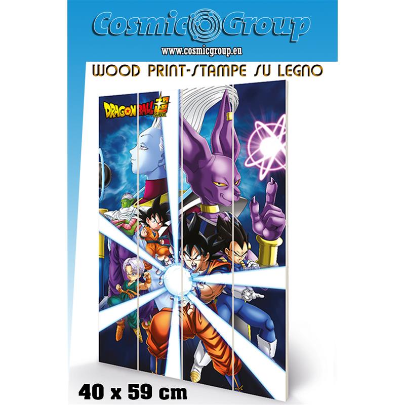 Dragon Ball God Destruction /Stampa Su Legno PYRAMID INTERNATIONAL