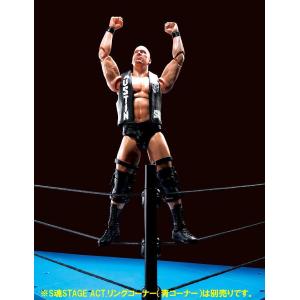 Wwe Stone Cold Steve Austin S.H. Figuarts