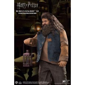 Harry Potter Rubeus Hagrid 2.0 Star Ace