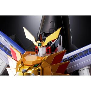 GX-68X Star Gaogaiger Option Set