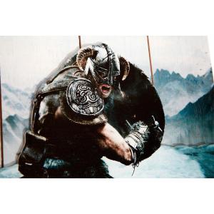 Skyrim Aerial Attack Poster Doctor Collector