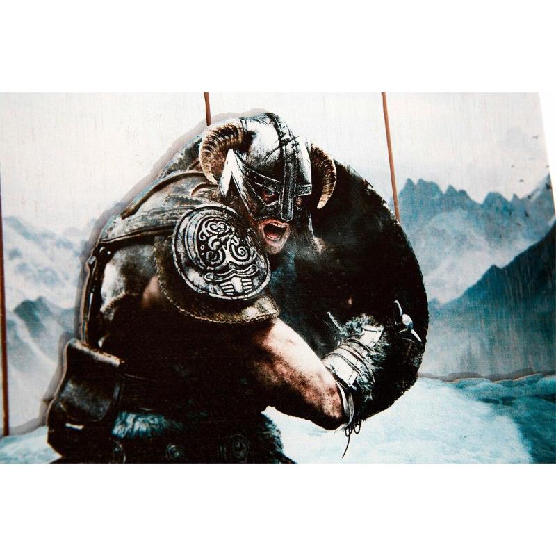 Skyrim Aerial Attack Poster Doctor Collector