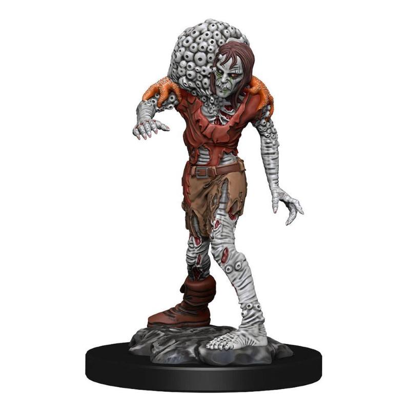 Wizkids D&D Nolzur's Marvelous Drowned Assassin & Asetic