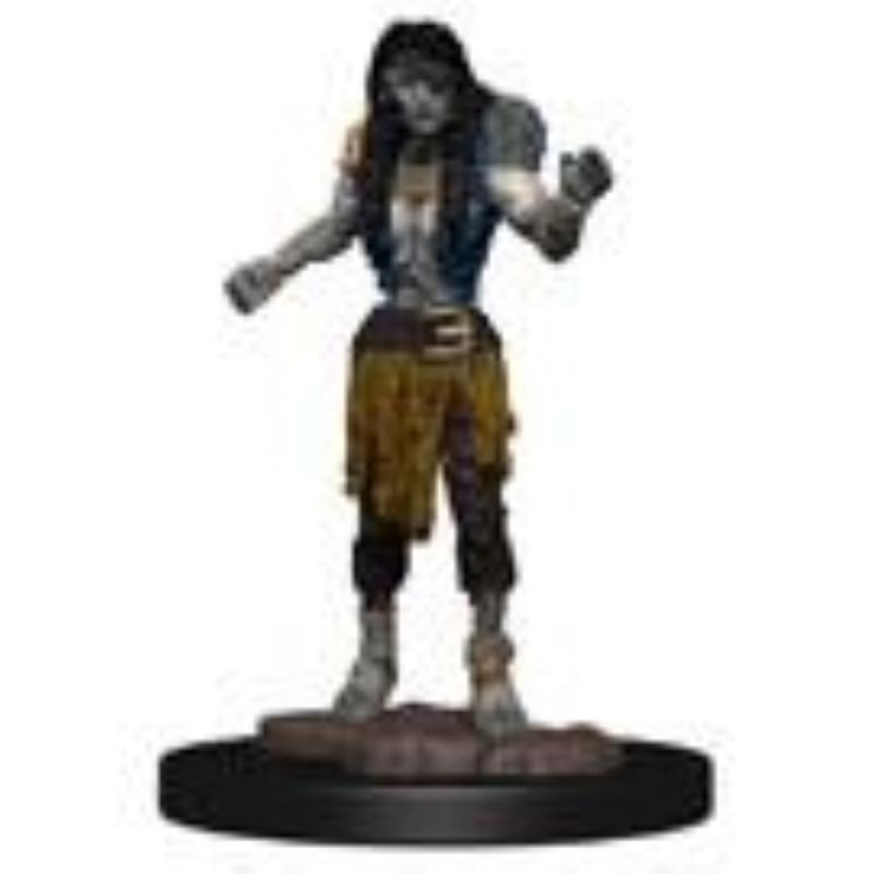 Wizkids D&D Nolzur's Marvelous Drowned Assassin & Asetic