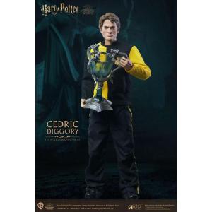 Harry Potter: Cedric Diggory 1/6 Regular 