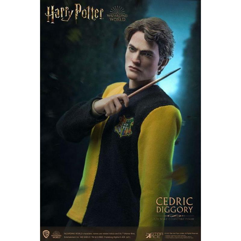 Harry Potter: Cedric Diggory 1/6 Regular 