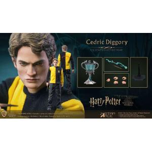 Harry Potter: Cedric Diggory 1/6 Regular 