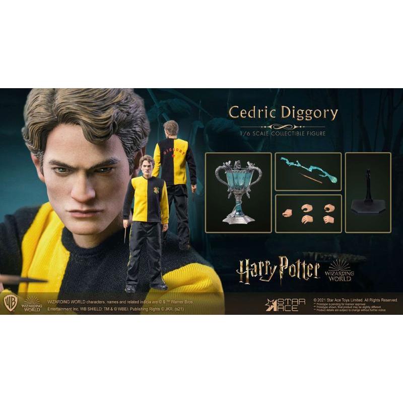 Harry Potter: Cedric Diggory 1/6 Regular 