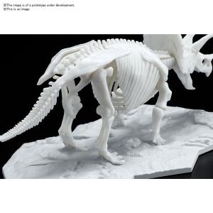 Bandai Dinosaur Limex Skeleton Triceratops