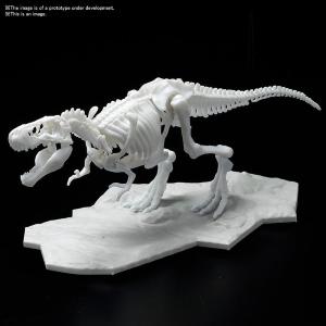 Bandai Dinosaur Limex Skeleton Tyrannosaurus