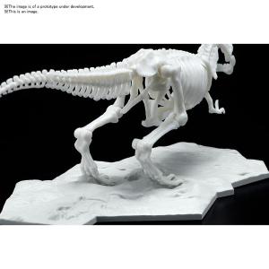 Bandai Dinosaur Limex Skeleton Tyrannosaurus