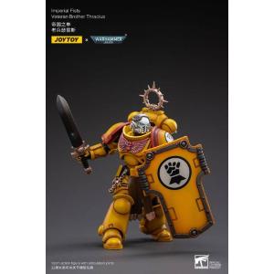 Joytoy Warhammer 40k 1/18 Imperial Fists Veteran Brother Thracius