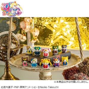 Sailor Moon Mega Cat Project Sailor Mewn Vol. 2 Megahouse