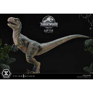 Jurassic World: Fallen Kingdom Baby Blue Prime 1 Studio