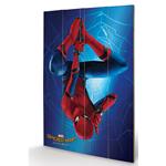 Spider-man Homecoming (Hang) Stampa su Legno