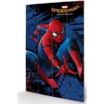 Spider-man Homecoming (City) Stampa su Legno