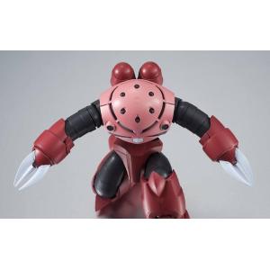 Gundam The Robot Spirits MSM-07S Z'Gok Ver. A.N.I.M.E. BANDAI