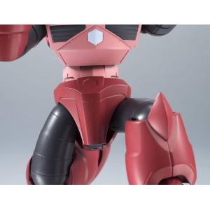 Gundam The Robot Spirits MSM-07S Z'Gok Ver. A.N.I.M.E. BANDAI