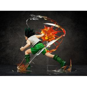 Hunter x Hunter 1/4 Gon Freecss Freeing