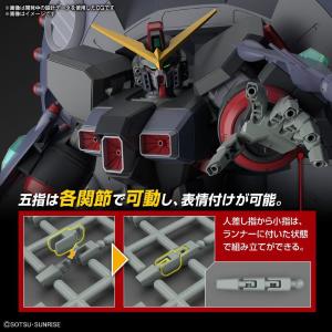Gunpla Destroy Gundam GFAS-X1 HG 1/144 High Grade Bandai