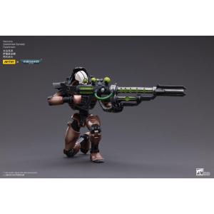 Warhammer 40k 2-Pack 1/18 Necrons Szarekhan Dynasty Deathmark Joytoy