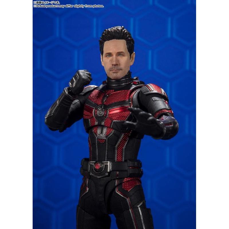 Marvel Ant-Man And The Wasp: Quantumania S.H. Figuarts Ant-Man Bandai