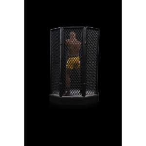UFC Art Scale 1/10 Anderson "Spider" Silva Signed Ver Deluxe Iron Studios