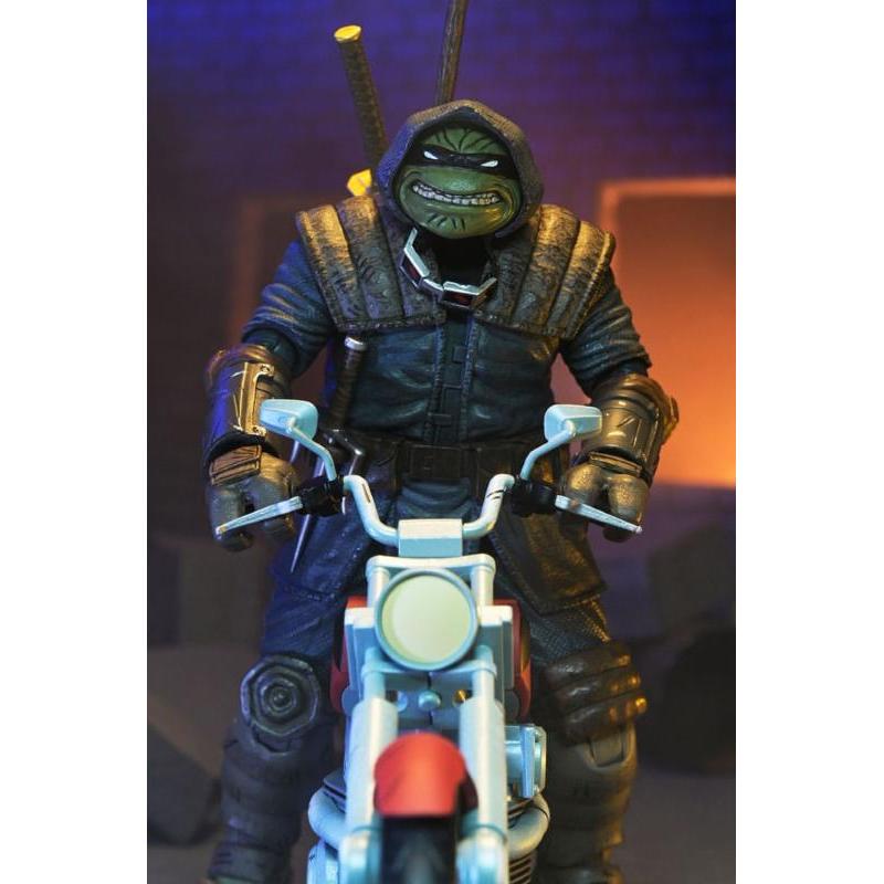 Teenage Mutant Ninja Turtles Punk Leo and Raph 2 Pack NECA