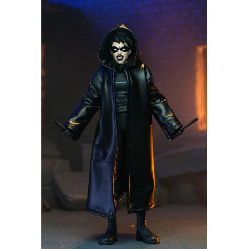 Teenage Mutant Ninja Turtles Punk Leo and Raph 2 Pack NECA