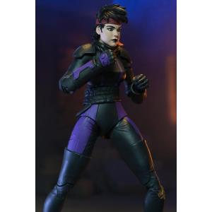 Teenage Mutant Ninja Turtles Punk Leo and Raph 2 Pack NECA