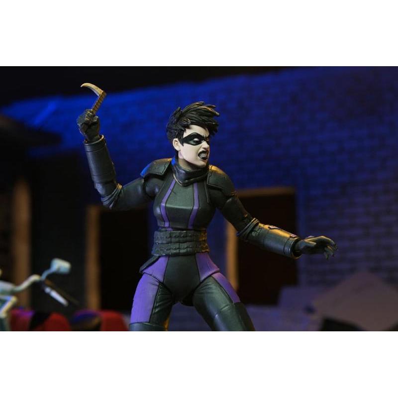 Teenage Mutant Ninja Turtles Punk Leo and Raph 2 Pack NECA