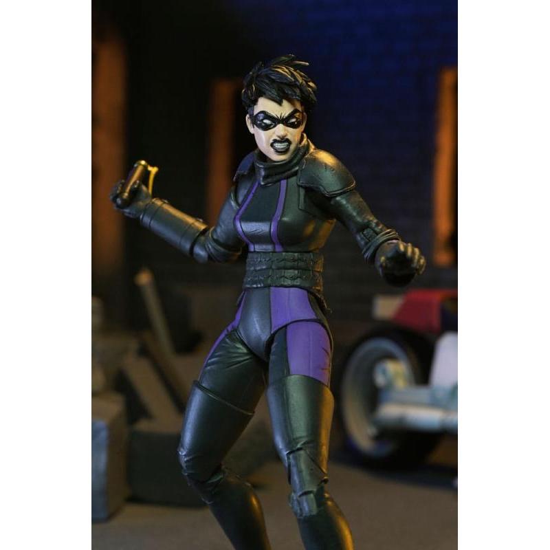 Teenage Mutant Ninja Turtles Punk Leo and Raph 2 Pack NECA