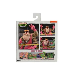Teenage Mutant Ninja Turtles  Deluxe Cryin Houn NECA