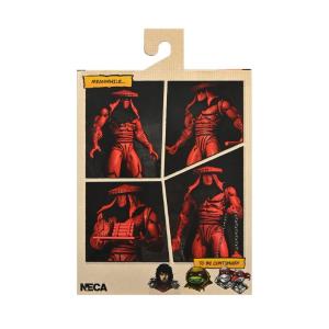 Teenage Mutant Ninja Turtles Red and Black Foot Assassin NECA