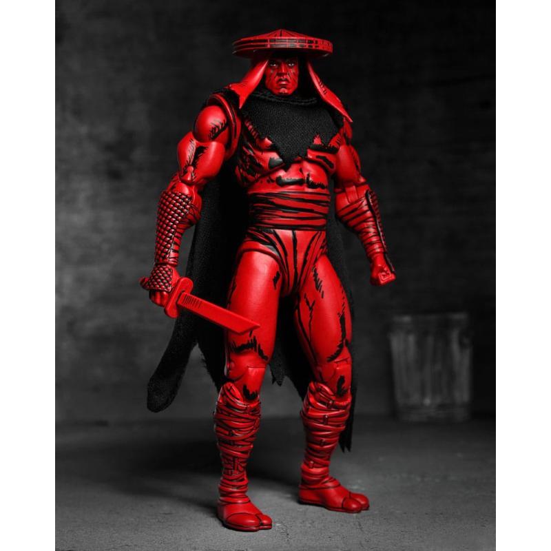Teenage Mutant Ninja Turtles Red and Black Foot Assassin NECA
