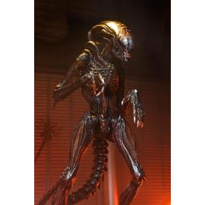Alien: Romulus Ultimate Scorched Xenomorph Neca