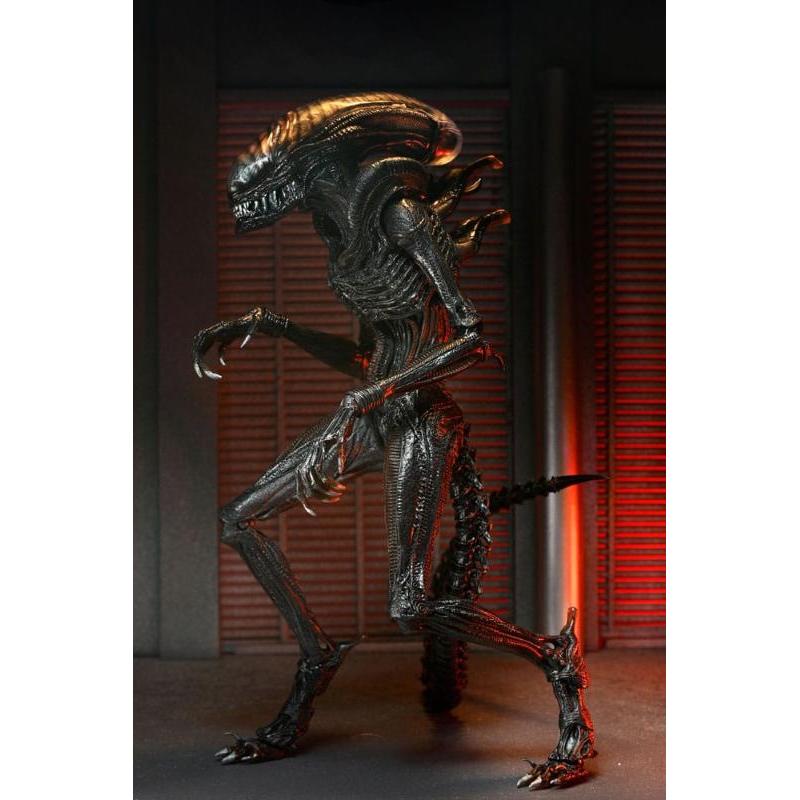 Alien: Romulus Ultimate Scorched Xenomorph Neca