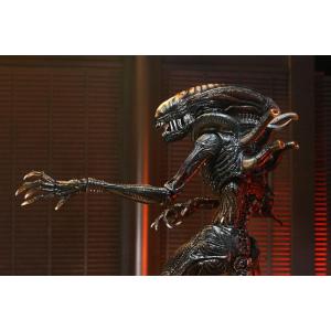 Alien: Romulus Ultimate Scorched Xenomorph Neca
