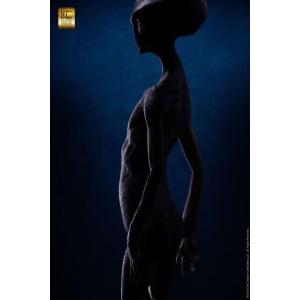 Reptilian Grey Maquette by Steve Wang ELITE CREATURE COLLECTIBLES