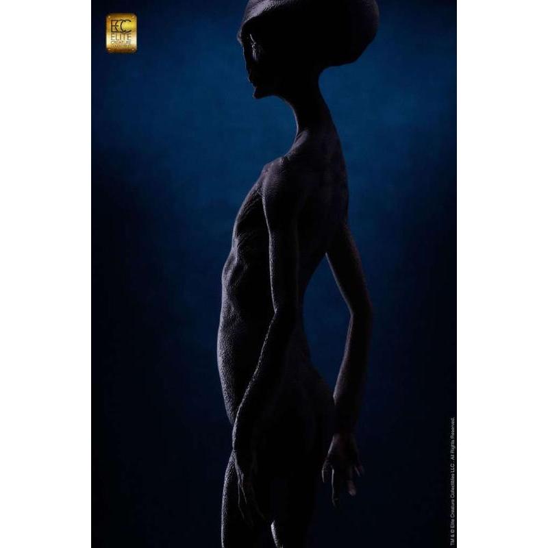 Reptilian Grey Maquette by Steve Wang ELITE CREATURE COLLECTIBLES