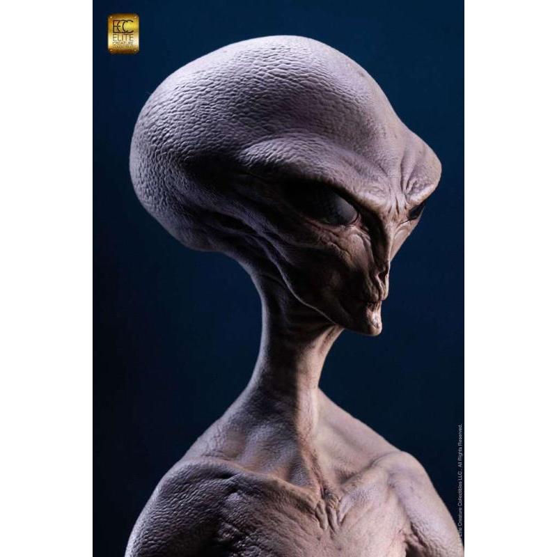 Reptilian Grey Maquette by Steve Wang ELITE CREATURE COLLECTIBLES