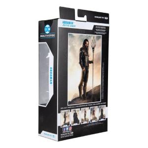 DC Multiverse Aquaman Endless Winter