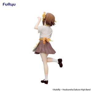 K-On! Trio-Try-iT Ritsu Tainaka FURYU
