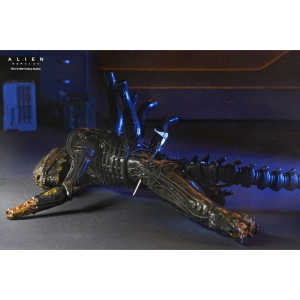Alien - Romulus Deluxe Action Figure Xenomorph XX121 Suspended Lab NECA
