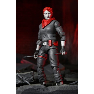 Teenage Mutant Ninja Turtles - The Last Ronin Lost Years April ONeil Nightwatcher NECA