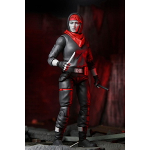 Teenage Mutant Ninja Turtles - The Last Ronin Lost Years April ONeil Nightwatcher NECA