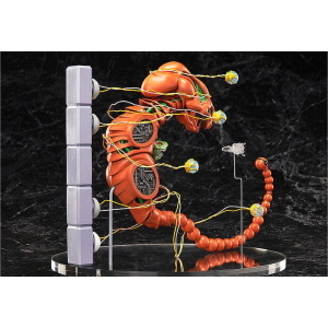 R-Type - Dobkeratops figma FREEing